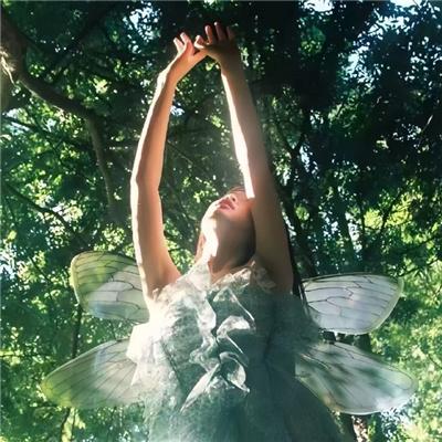 禁止离婚，高冷男神追妻成奴